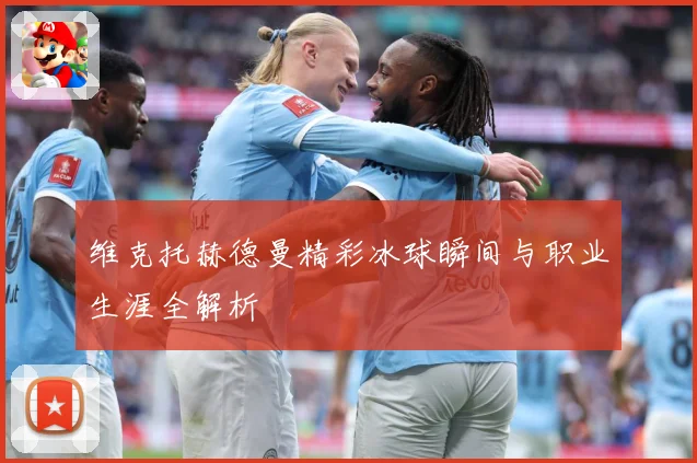 维克托赫德曼精彩冰球瞬间与职业生涯全解析