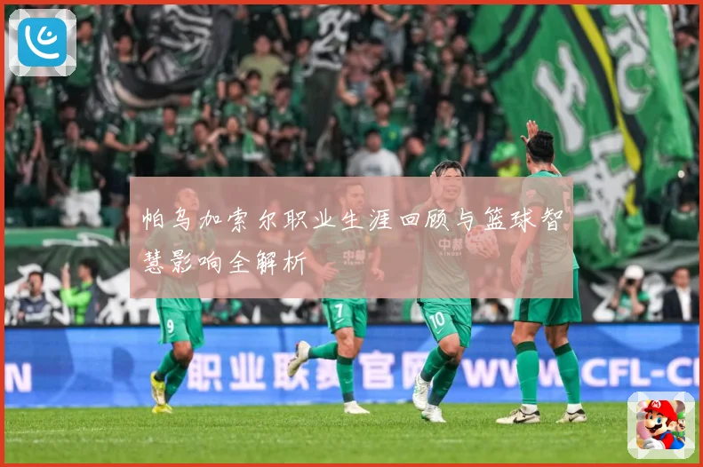 帕乌加索尔职业生涯回顾与篮球智慧影响全解析