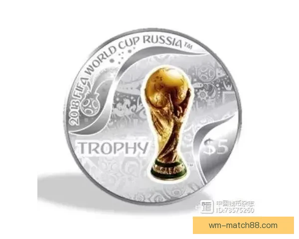 世界杯竞猜胜负技巧与规则全面解析让你赢得更多积分