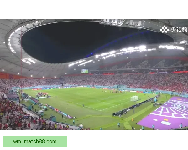 加拿大2026世界杯赛场全景揭秘探索各大城市的精彩球迷体验与赛事氛围